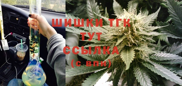 ECSTASY Елизово